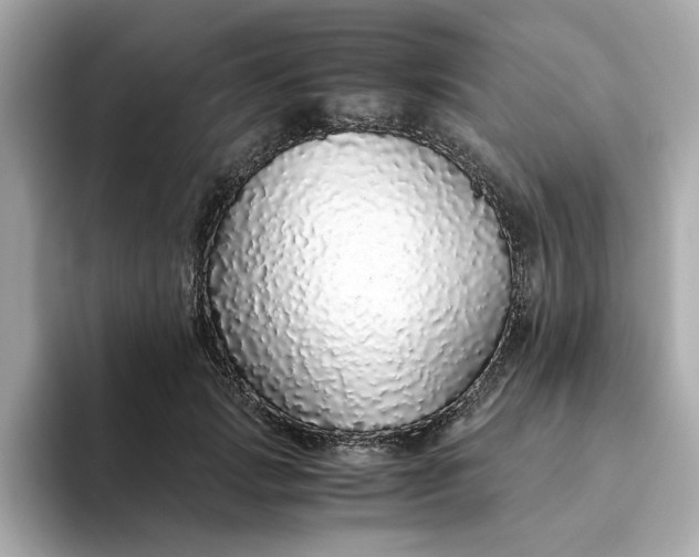 X0000093440749200710261040