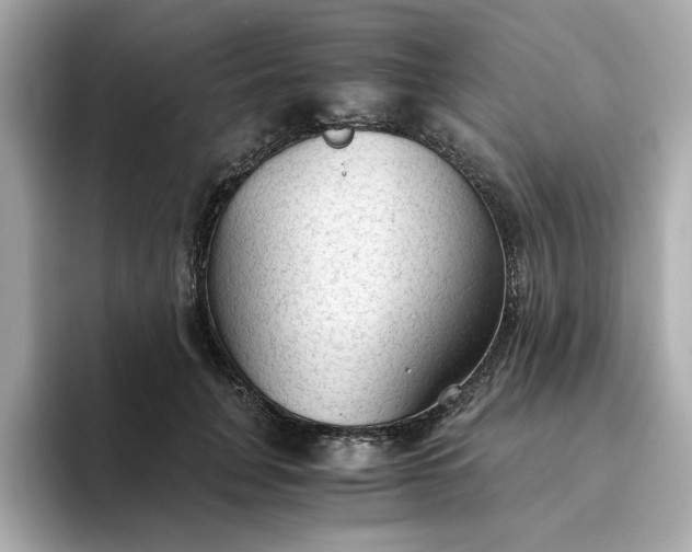 X0000093440751200710261040