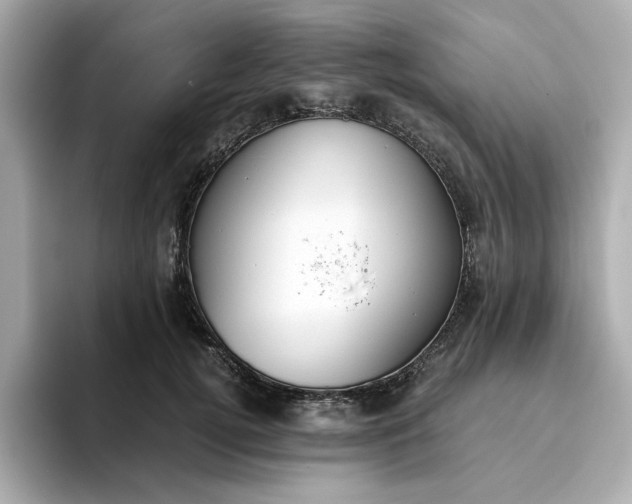 X0000093440752200710261040