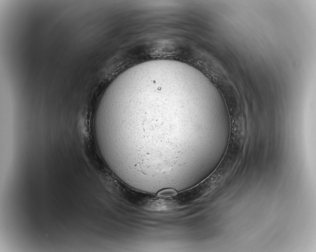 X0000093440755200710261040