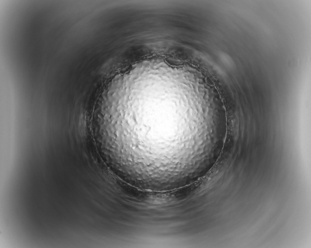 X0000093440757200710261040
