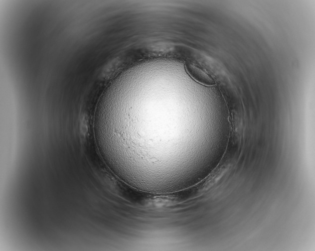 X0000093440758200710261040