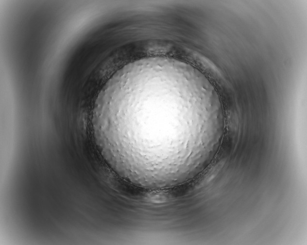 X0000093440761200710261040