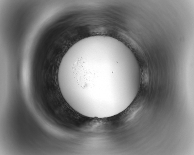 X0000093440764200710261040