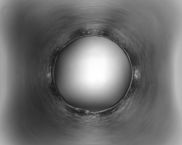 X0000093440771200710261039