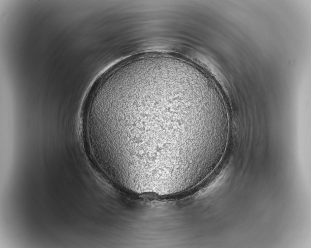 X0000093440779200710261039
