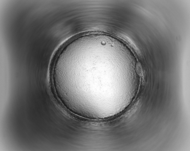 X0000093440780200710261039