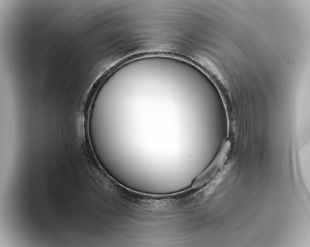 X0000093440781200710261039