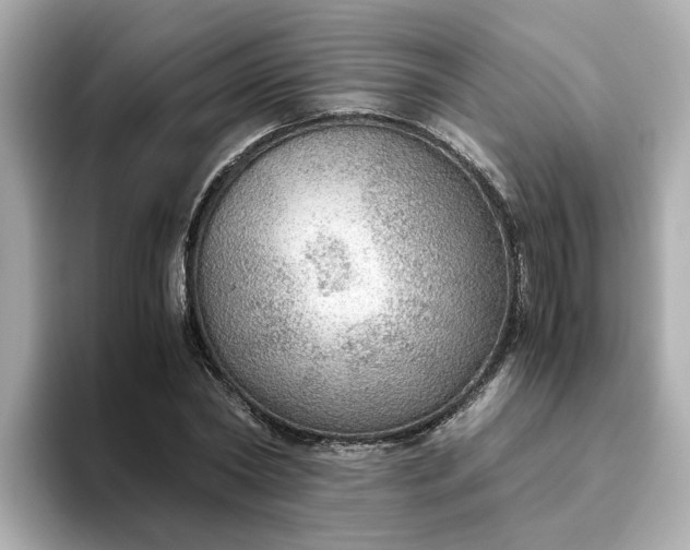 X0000093440782200710261039