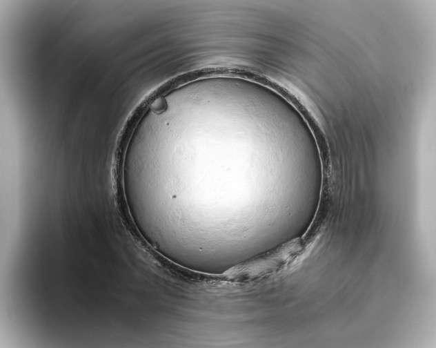 X0000093440783200710261039