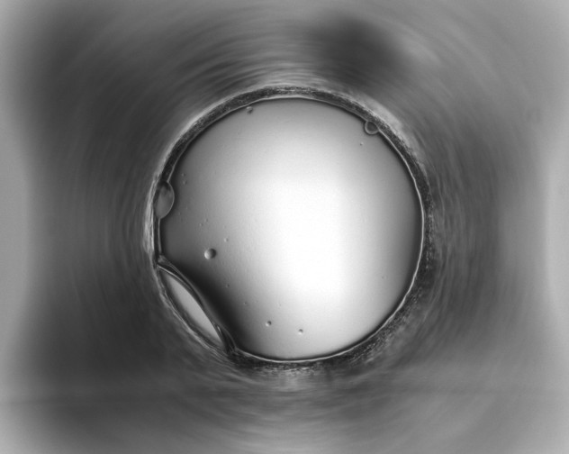 X0000093440791200710261039