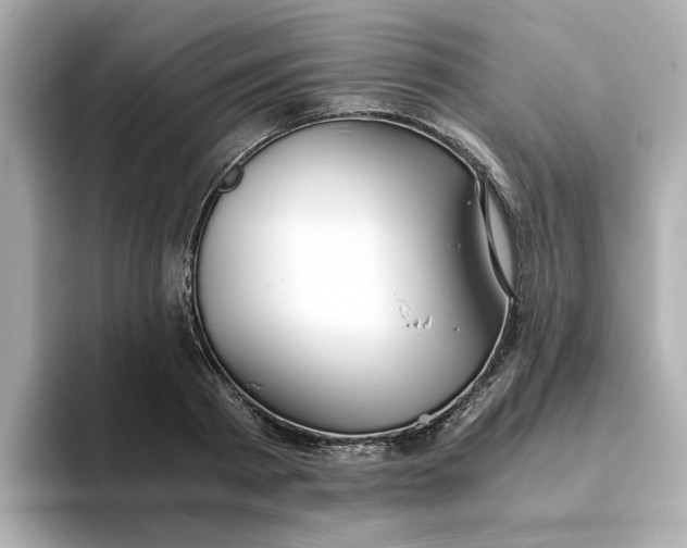 X0000093440793200710261039