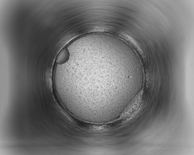 X0000093440794200710261039