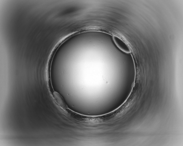 X0000093440795200710261039