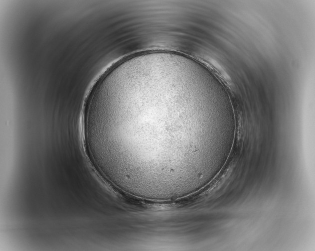 X0000093440796200710261039