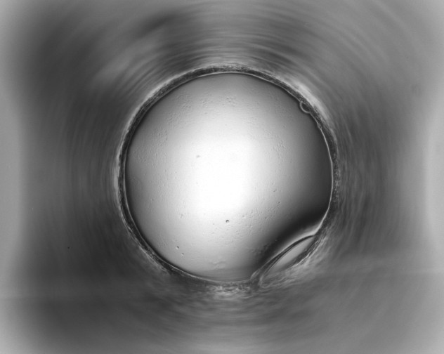 X0000093440799200710261039