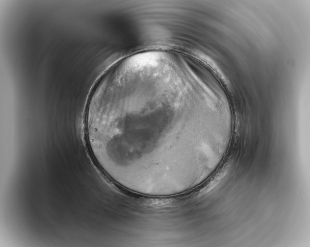 X0000093440802200710261039