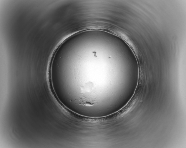 X0000093440803200710261039