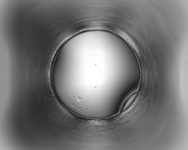X0000093440805200710261039