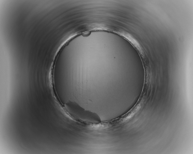 X0000093440806200710261039