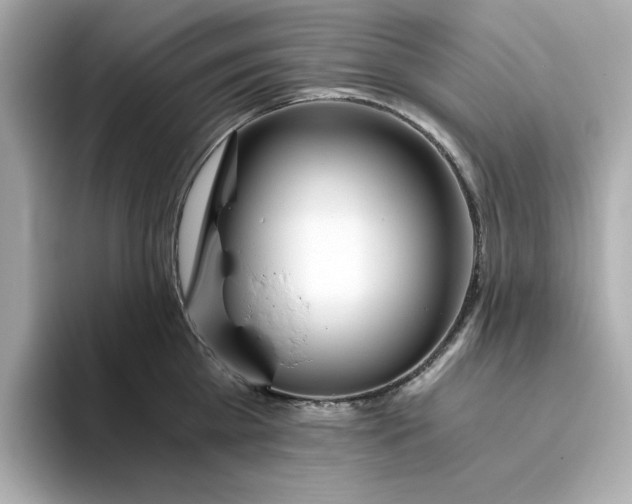 X0000093440809200710261039