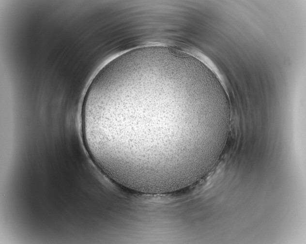X0000093440811200710261039