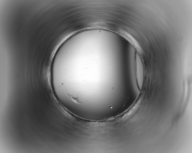 X0000093440812200710261039