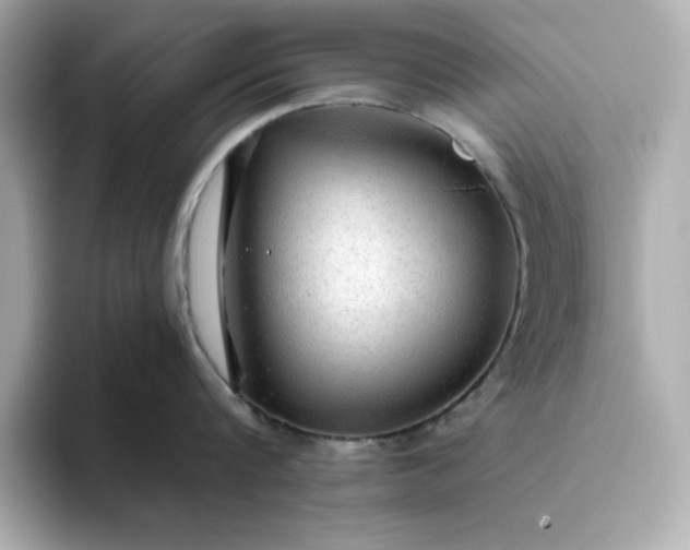 X0000093440816200710261039