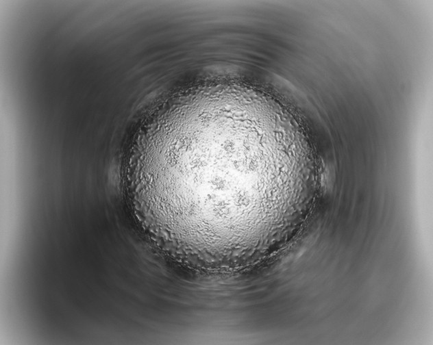 X0000093440819200710261038