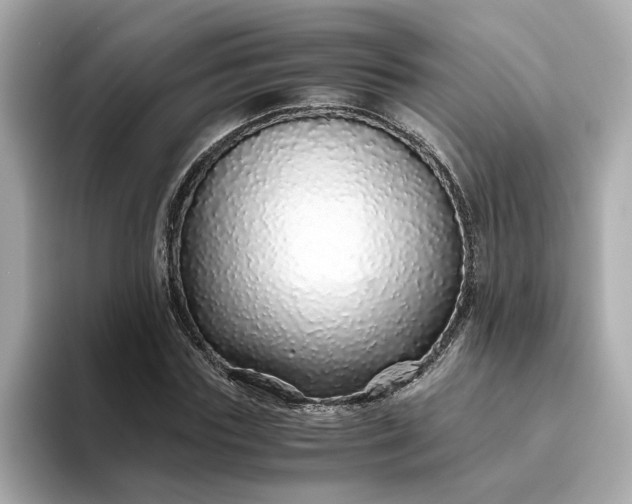 X0000093440827200710261038