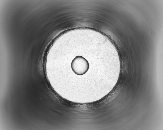 X0000093440828200710261038