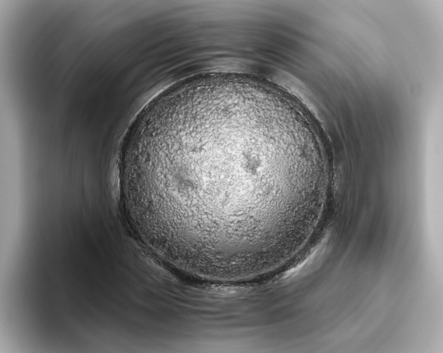 X0000093440829200710261038