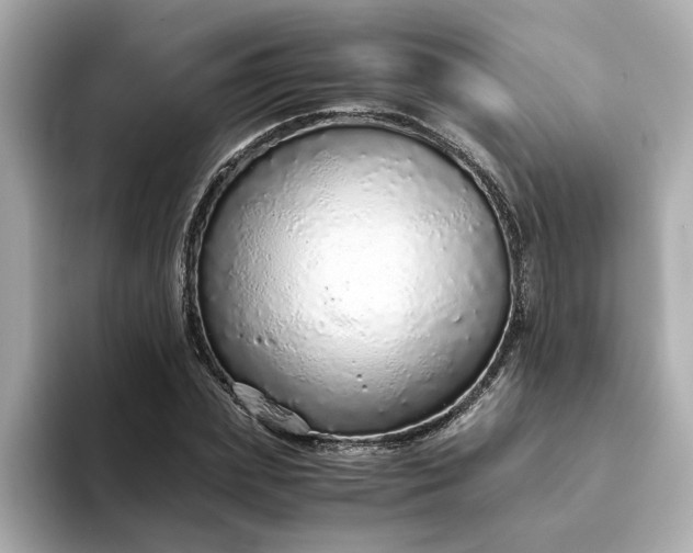 X0000093440831200710261038