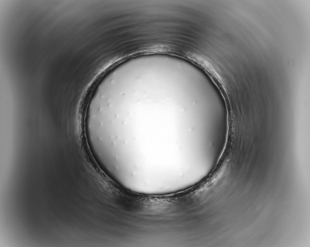 X0000093440835200710261038