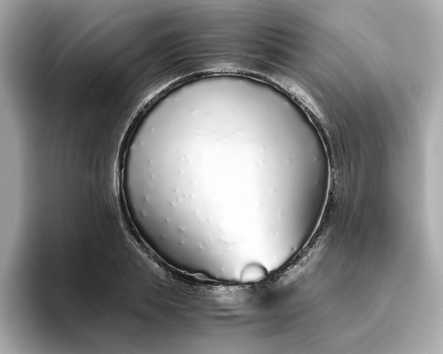 X0000093440839200710261038
