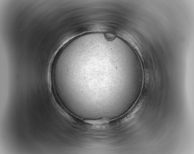 X0000093440843200710261038