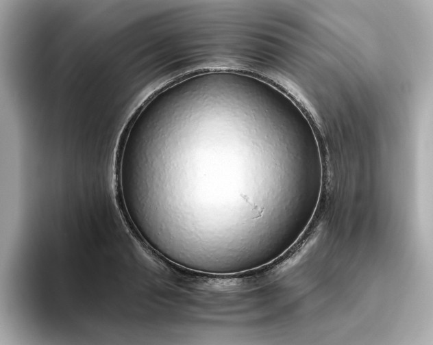 X0000093440845200710261038