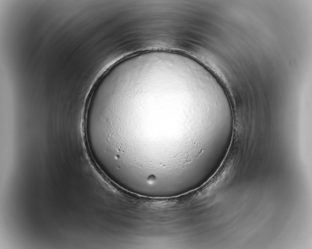 X0000093440847200710261038