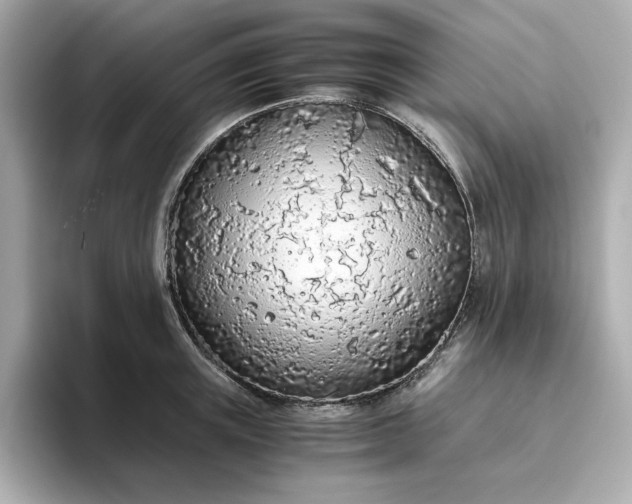 X0000093440851200710261038
