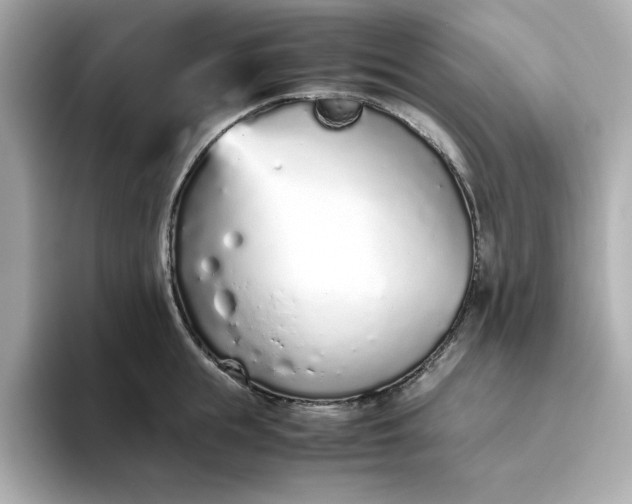 X0000093440855200710261039