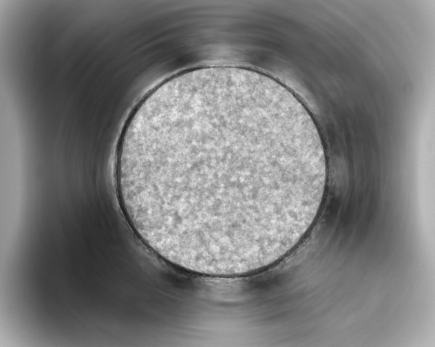 X0000093440856200710261039