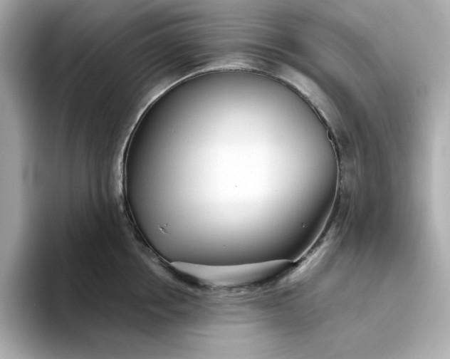 X0000093440858200710261039