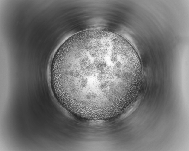 X0000093440859200710261039