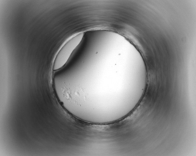 X0000093440860200710261039