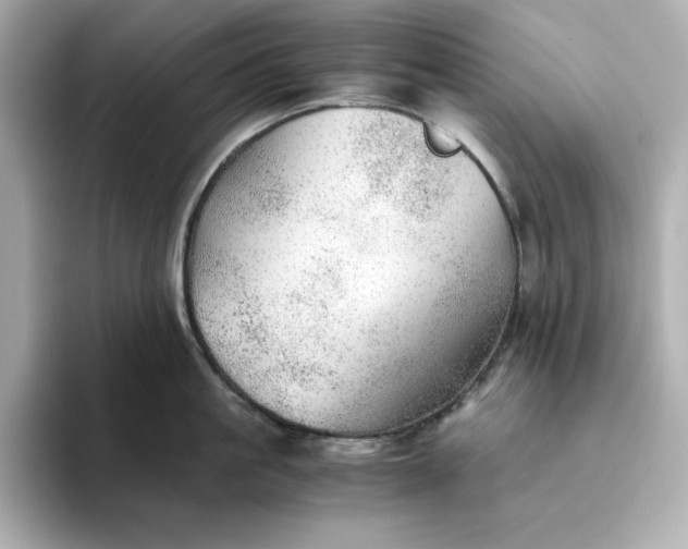 X0000093440861200710261039