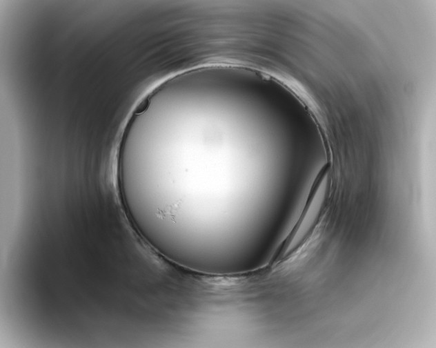 X0000093440862200710261039