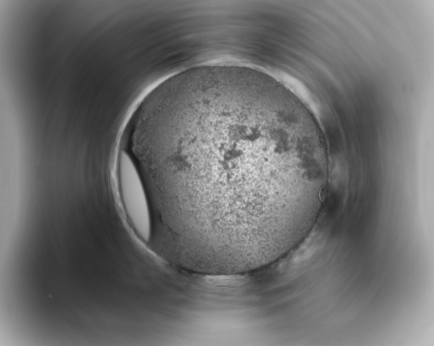 X0000093440863200710261039