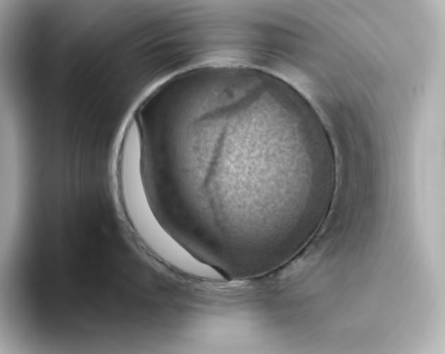X0000093440864200710261039
