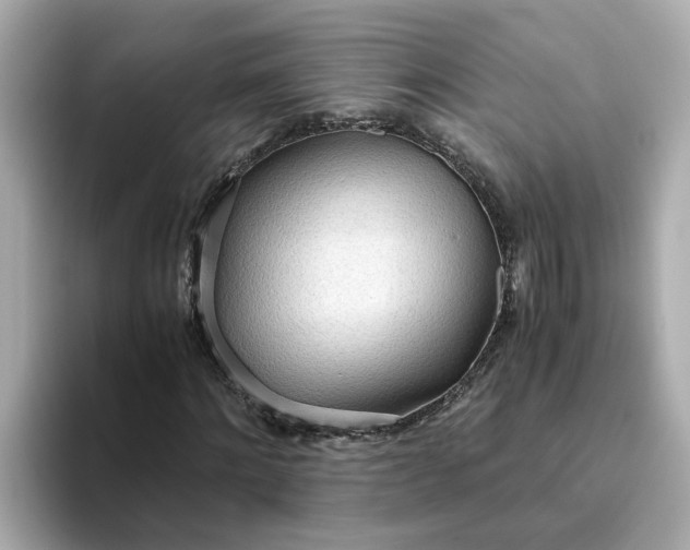 X0000093440868200710261038
