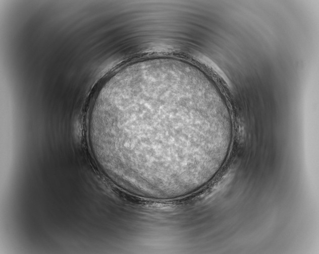 X0000093440874200710261038